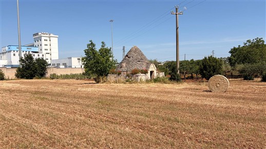 Caratteristico Trullo Con Terreno Di 3.000 mq. Circa.